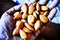 The almond isÂ the edible kernel of the fruit of the sweet almond tree.